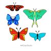 Stained Glass Butterfly Patterns Set of 5 - window decor