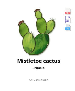 Mistletoe cactus Rhipsalis stained glass pattern - PDF PNG SVG files for suncatcher craft