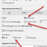 Adobe Acrobat Reader print settings for a stained glass pattern file at 100% size